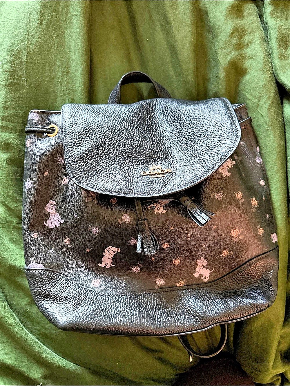 Coach Disney x Coach  Backpack with 101 Dalmatians Floral Print  Backpack